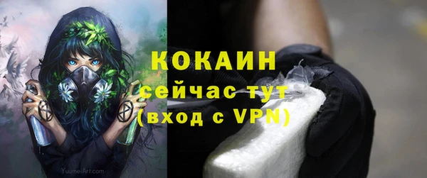 спиды Богданович