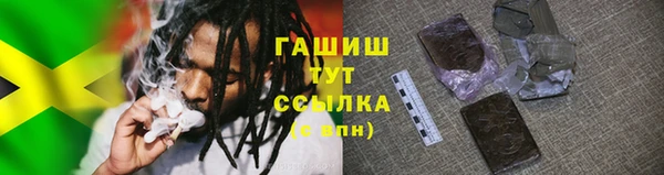 спиды Богданович