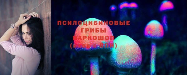 спиды Богданович
