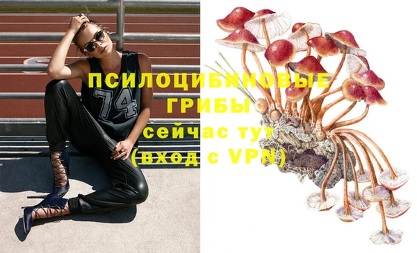 MDMA Богородицк
