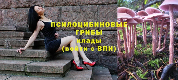 MDMA Богородицк
