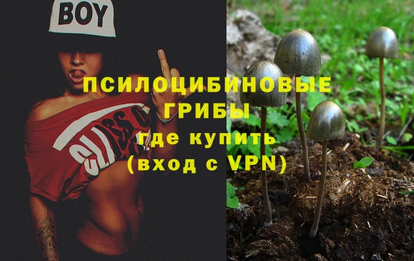 mdpv Богородск