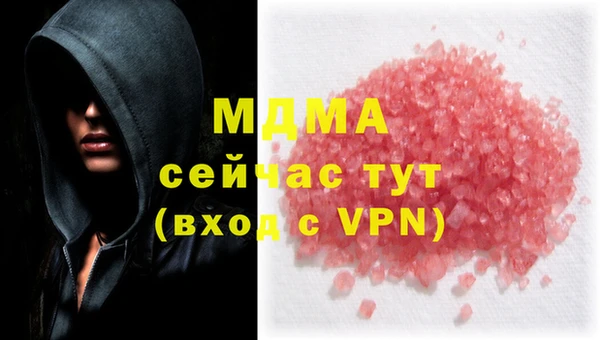 спиды Богданович